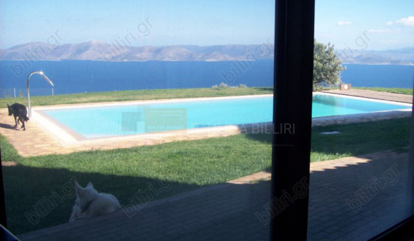 Πισίνα - θέα . Swimming pool - view